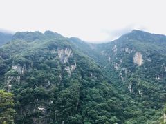 -牛背梁国家森林公园