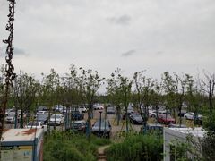 -南汇嘴观海公园