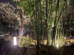 -三江森林温泉度假区