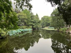 -叶家花园