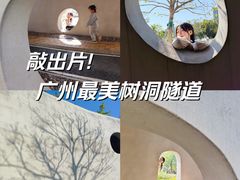 -海珠儿童公园
