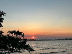 -宝安西湾红树林湿地公园