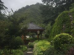 -麦积山温泉
