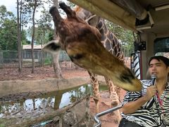 -清迈夜间动物园