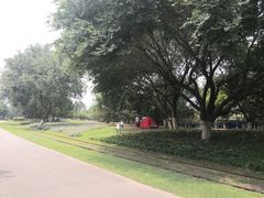 -永定河休闲森林公园