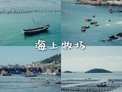 -枸杞岛