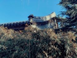 -颐和宾馆宴会厅