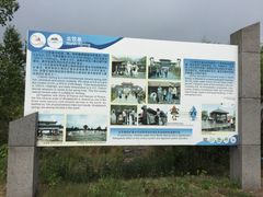 -北药泉