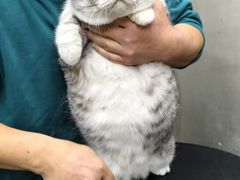 -PETKIT小佩宠物·低压洗护(国顺东路店)