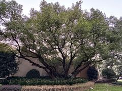 -上海兴国宾馆香樟园西餐厅