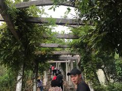 -缥缈峰景区