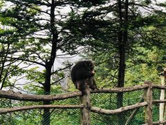 -峨眉山风景名胜区