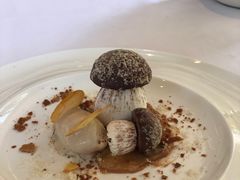 -蝶舍·MAISON PAPILLON