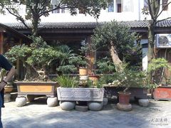 -木子山庄·安徽省老字号·中国炖锅宴