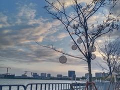 -滴水湖