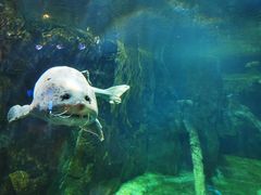 -华夏文旅海洋公园