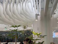 -大树餐厅(朝阳大悦城店)