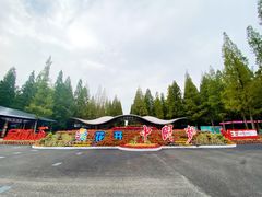 -东平国家森林公园