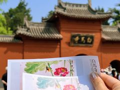 -洛阳白马寺