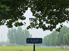 -中央财经大学沙河校区-图书馆