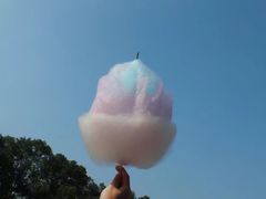 -武汉大学-樱园