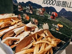 -芸山季·云南山珍菌火锅(南翔印象城MEGA店)