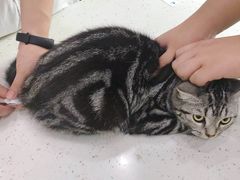 -贝利宠物医院·骨科·眼科·肿瘤转诊中心(南坪诊疗中心)