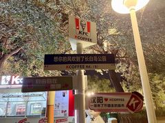 -长白岛森林公园