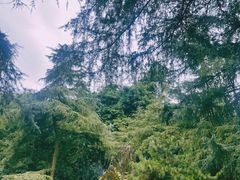 -望江楼公园