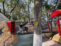 -水上乐园·欢乐世界