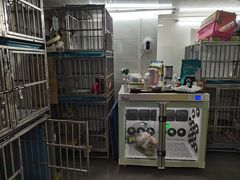 -喵汪萌宠屋旗舰店.洗澡美容.猫狗基地