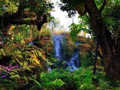 -Chom Cafe and Restaurant