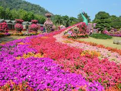 -东南花都花博园