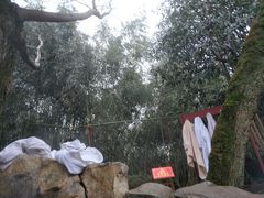 -金孔雀温泉旅游度假村