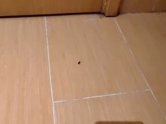 -全季酒店（上海南站徐汇万科中心店）(原冠生园路店)