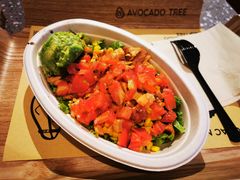 -油梨树AVOCADO TREE(嘉里中心店)
