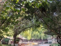 -尚庄度假村·庭台树下·户外烧烤·团建CS·轰趴营地(上庄水库店)