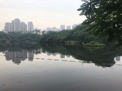-重庆彩云湖湿地公园