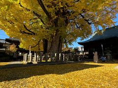 -医王山·飞騨国分寺