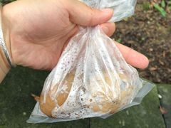 -金盆阿嬷香菇茶叶蛋(玄光店)