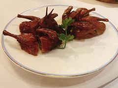 -宝燕壹号景观餐厅(龙盛国际商业广场店)