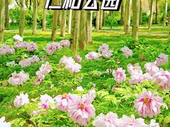 -仁和公园(顺义区)
