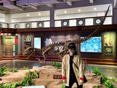 -自贡恐龙博物馆