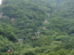 -牛背梁国家森林公园