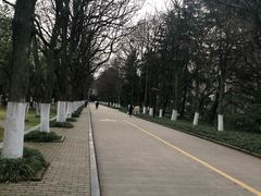 -安徽大学(龙河校区)