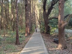 -同里国家湿地公园