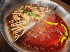 -湊湊火锅·茶憩(郑州绿地新都会店)