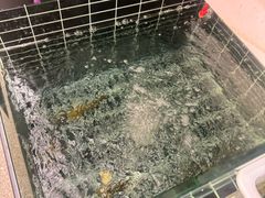-毛哥小馆子(百井坊巷店)