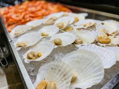 -上海新发展亚太JW万豪酒店