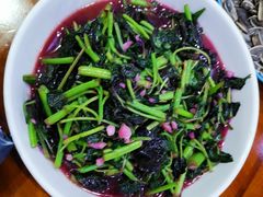 -全乐鱼馆·淳牌有机鱼直营店